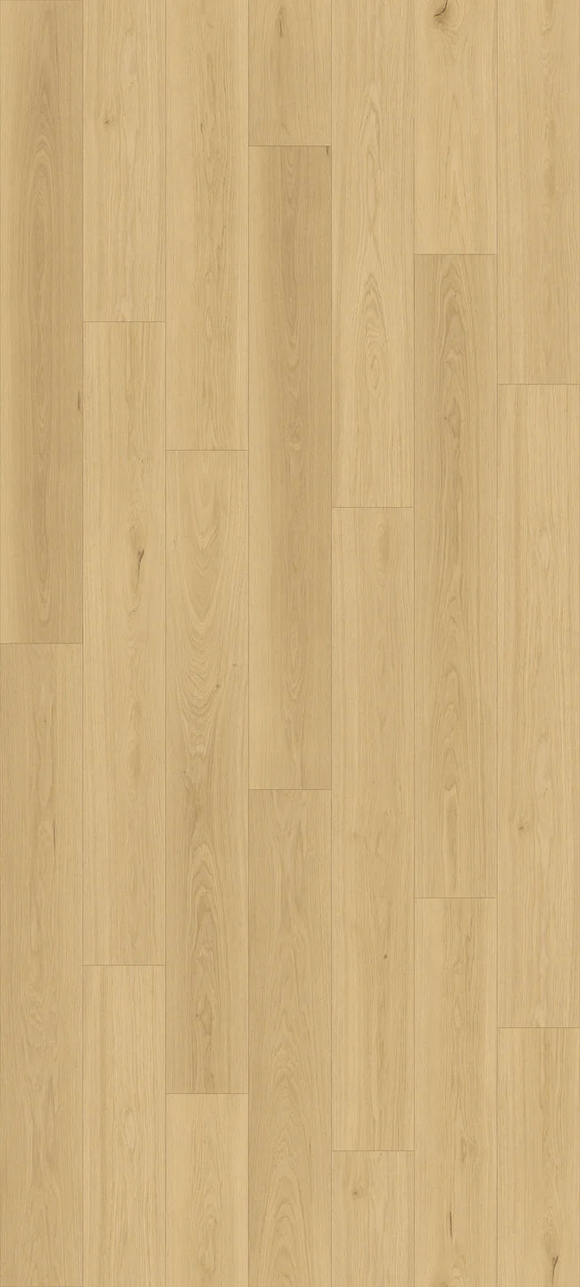 Queenstown 1.5 Sandy Point