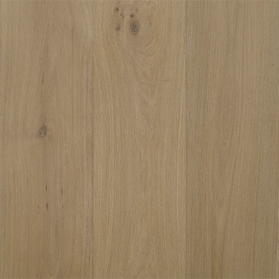 Artistry Collections Insignia Oak  Waratah