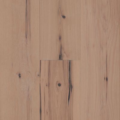 Hickory Impressions Homestead Maroochi - NEW