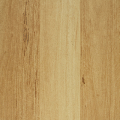 Reflections Laminate 8mm Lifestyle Blackbutt