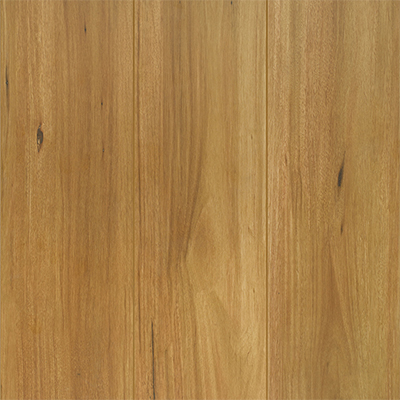Reflections Laminate 8mm Lifestyle Spotted Gum
