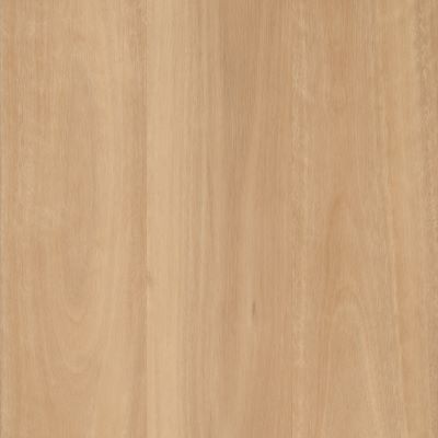 Kodiak Hybrid Flooring Inland Blackbutt - NEW