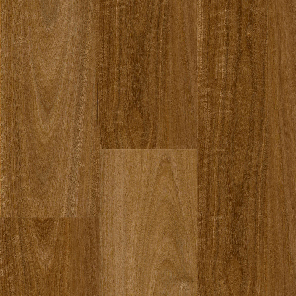 Rigid Plank XL Image