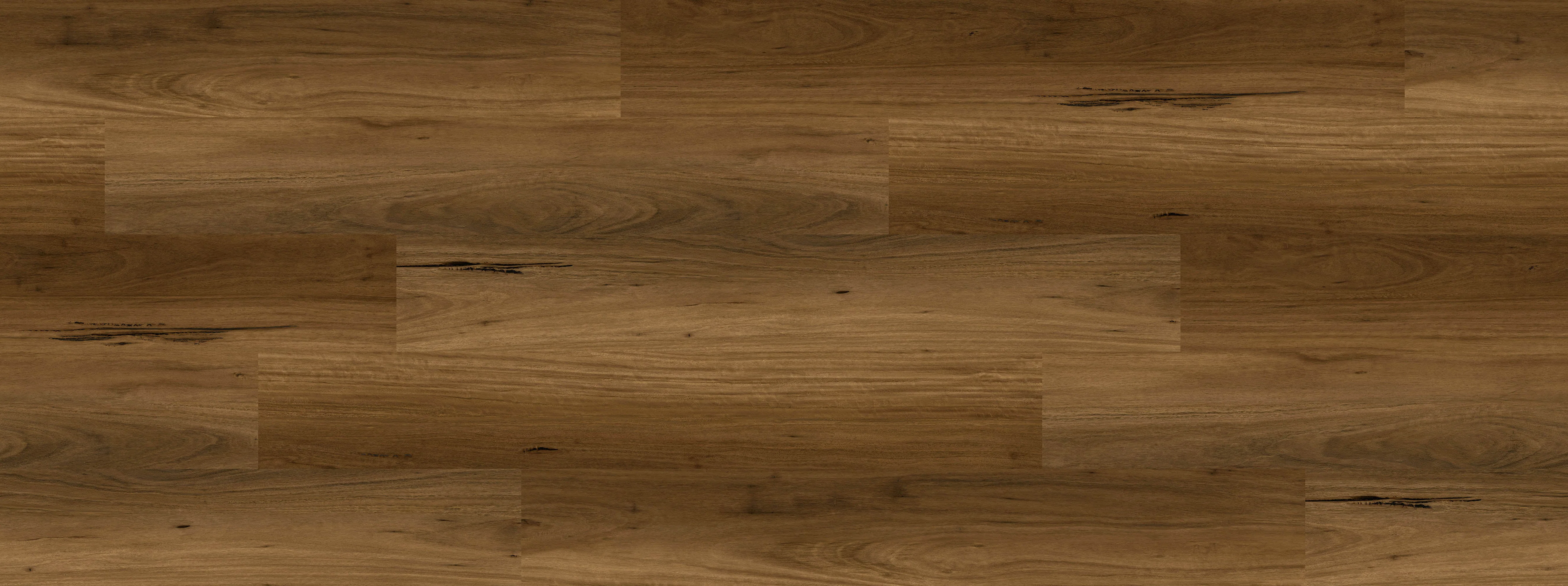 Tranquility Tranquility - Eucalypti Gum