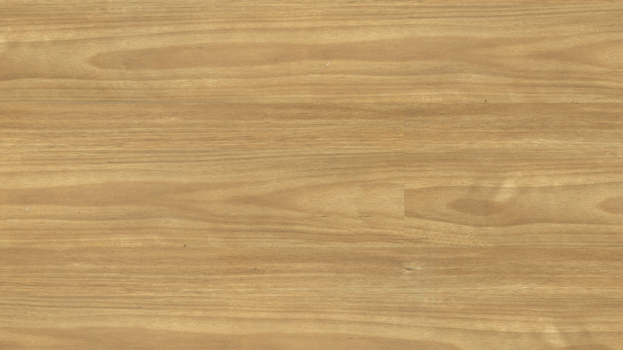 Vista Eastern Blackbutt