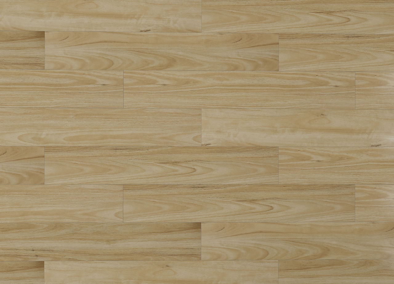 Vista Alpine Blackbutt