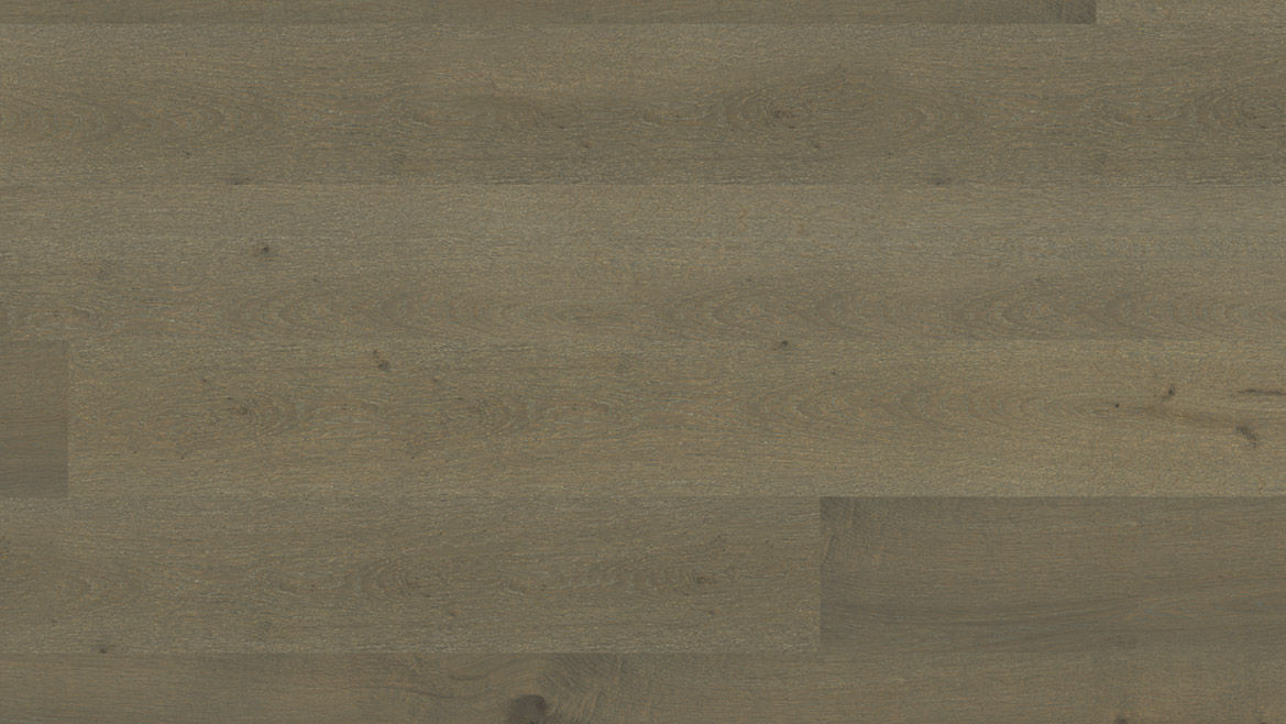 Corsica Oak Ashen Oak