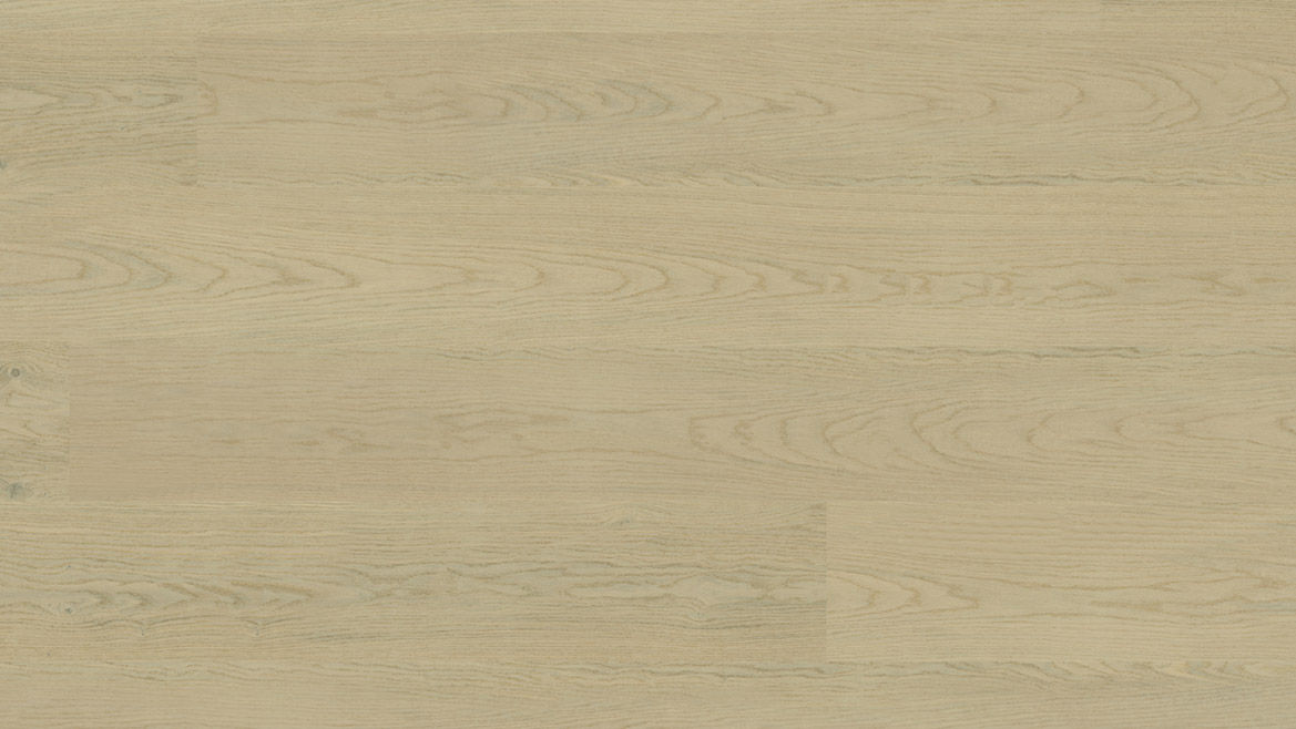 Corsica Oak Coastal Oak