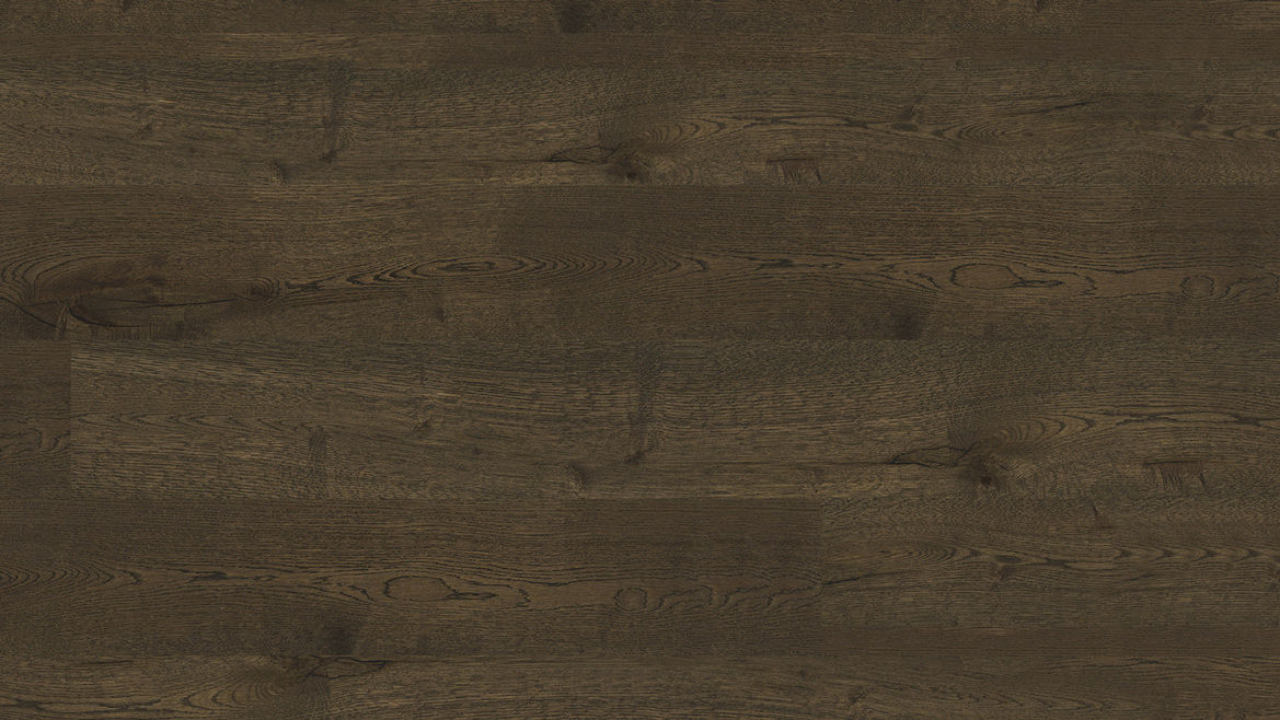 Corsica Oak Coffee Oak