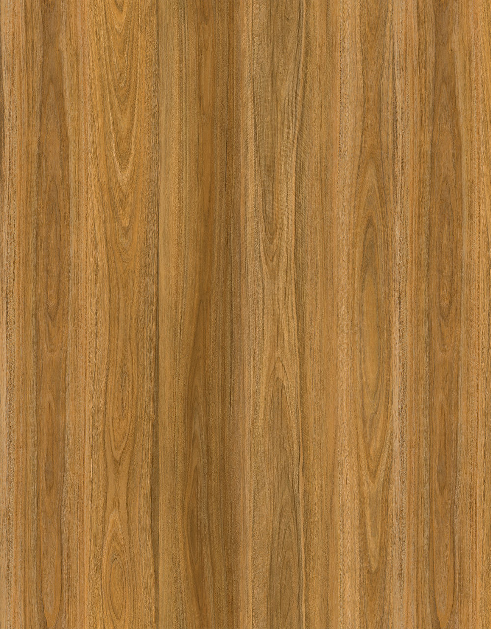 Aquila Wood Coastal Spotted Gum