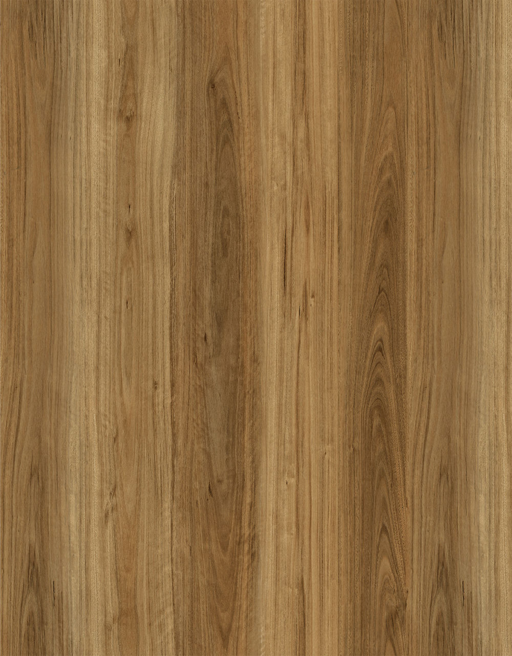 Aquila Wood Classic Blackbutt