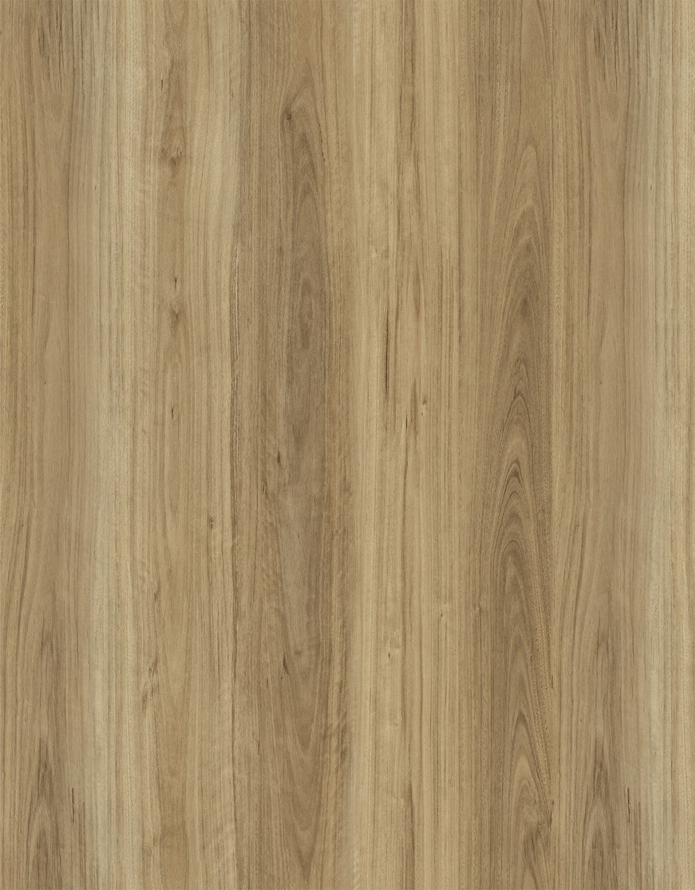 Aquila Wood Limed Blackbutt