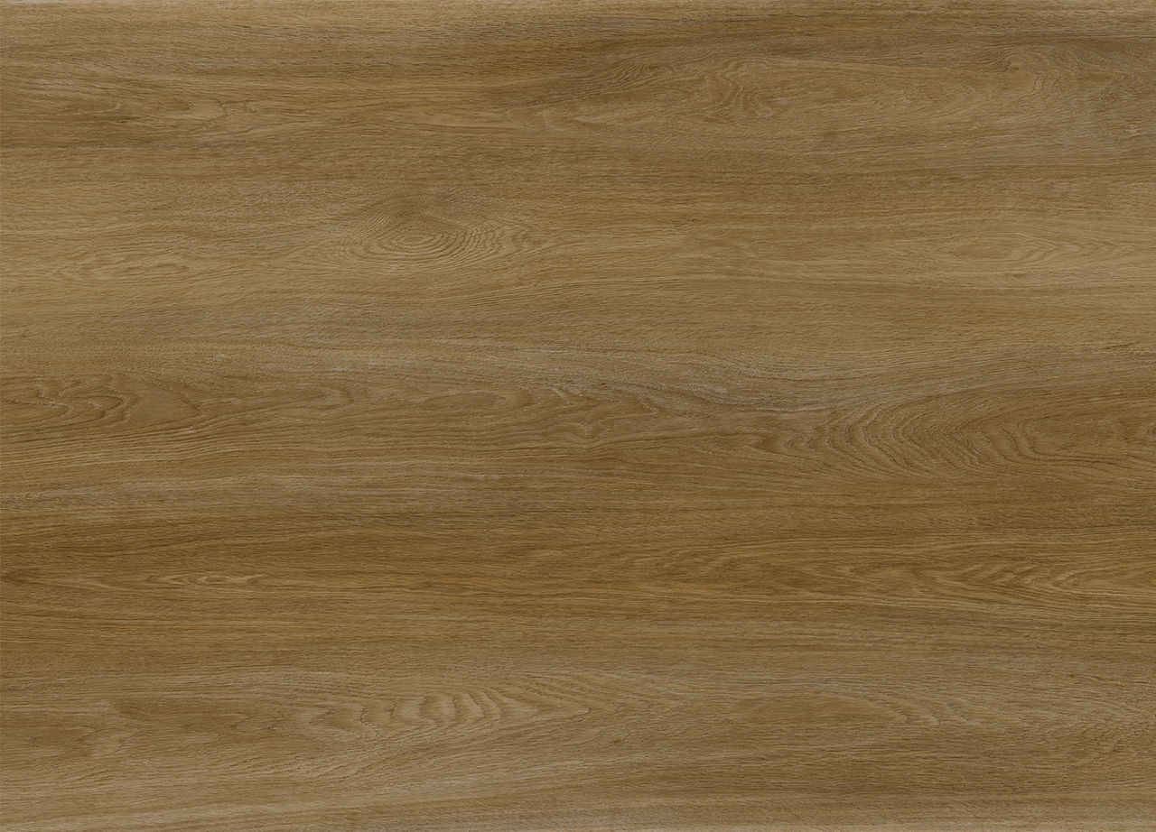 Apollo 1500 Sherbrooke