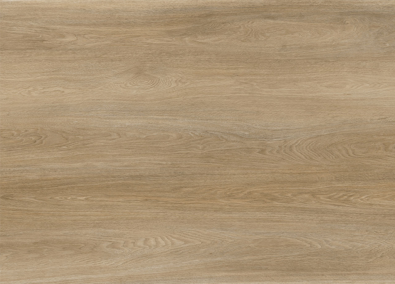 Apollo 1500 Daintree