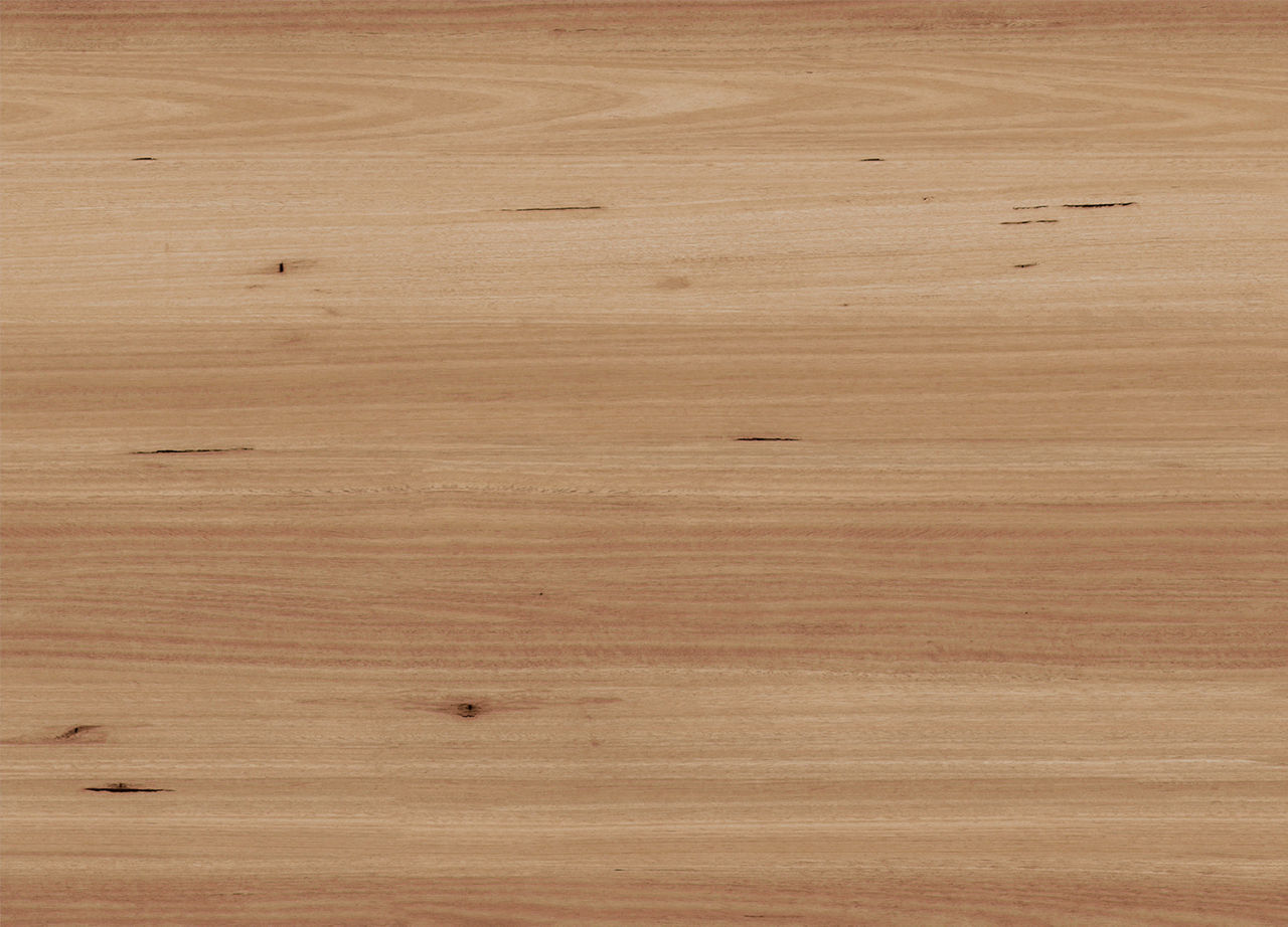 Apollo 1500 Blackbutt