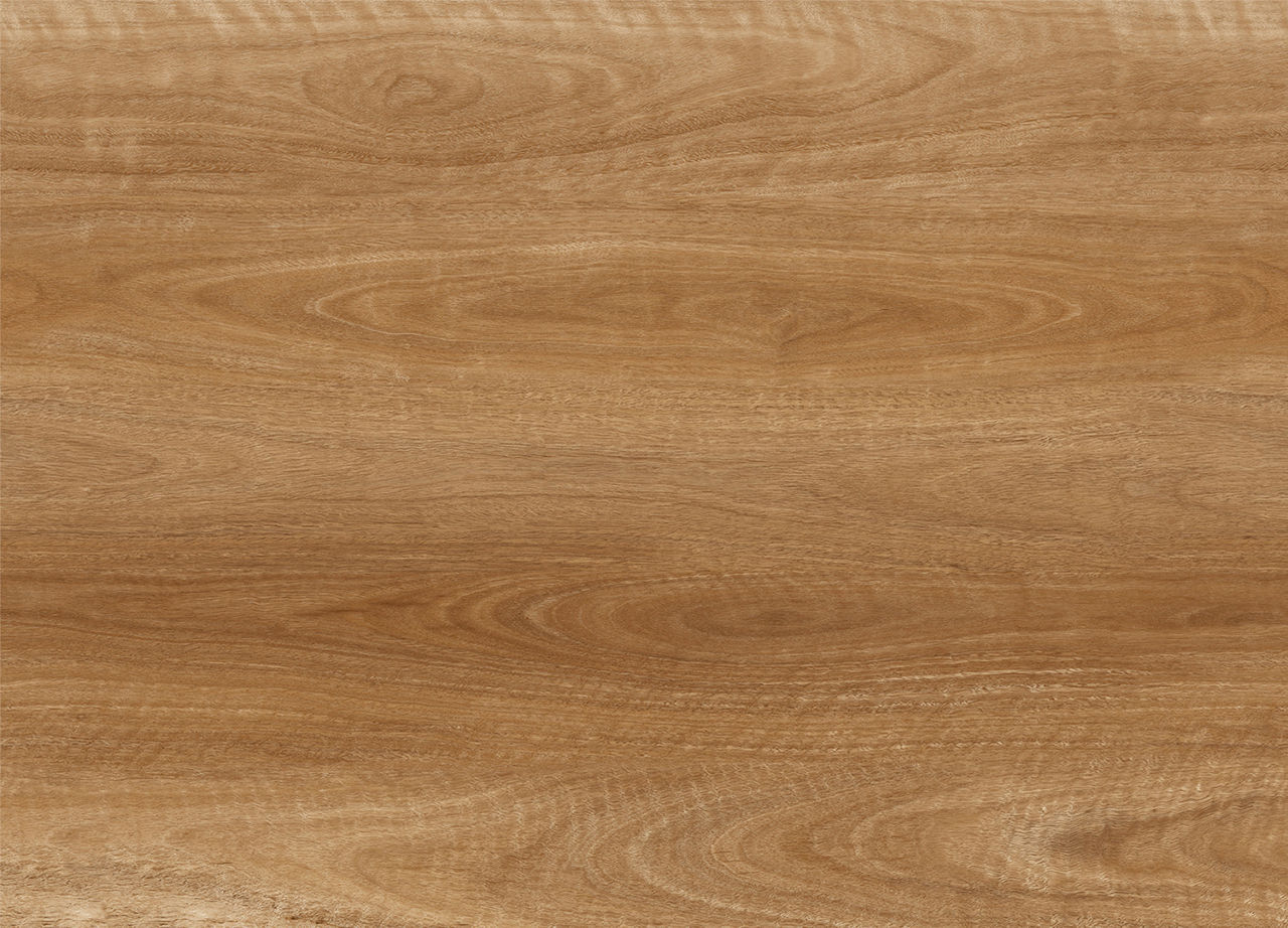 Apollo 1500 Spotted Gum