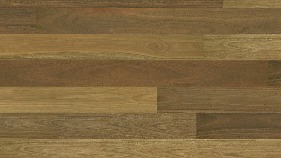 Pioneer Brush Spotted Gum (1820 x 180mm)