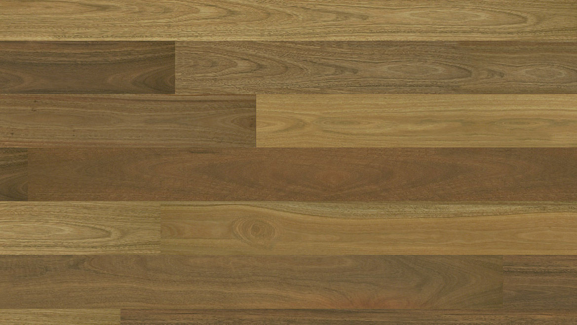 Pioneer Satin Spotted Gum (2100 x 136mm)
