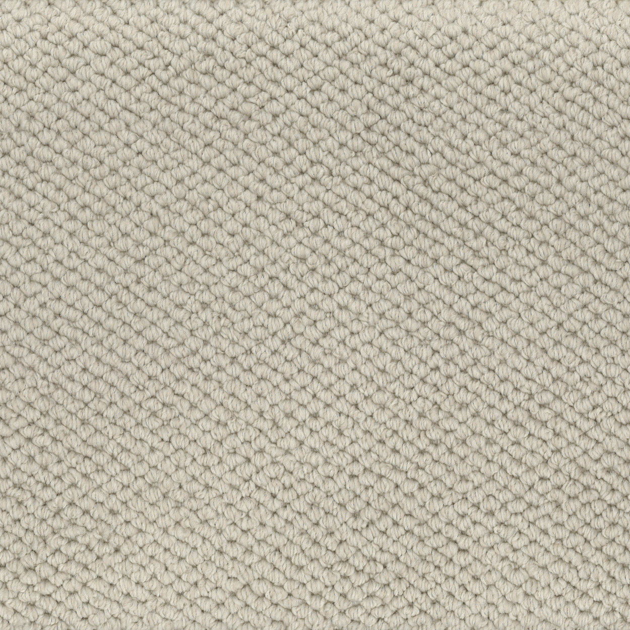 Modern Texture Ivory