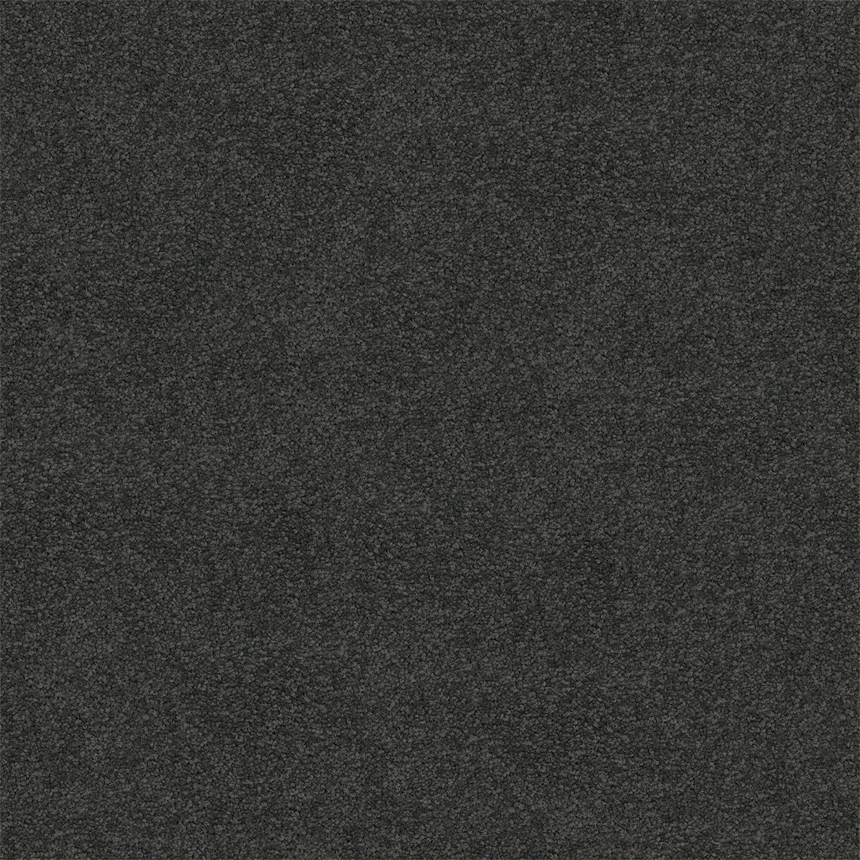 Mystic Charm II Sable