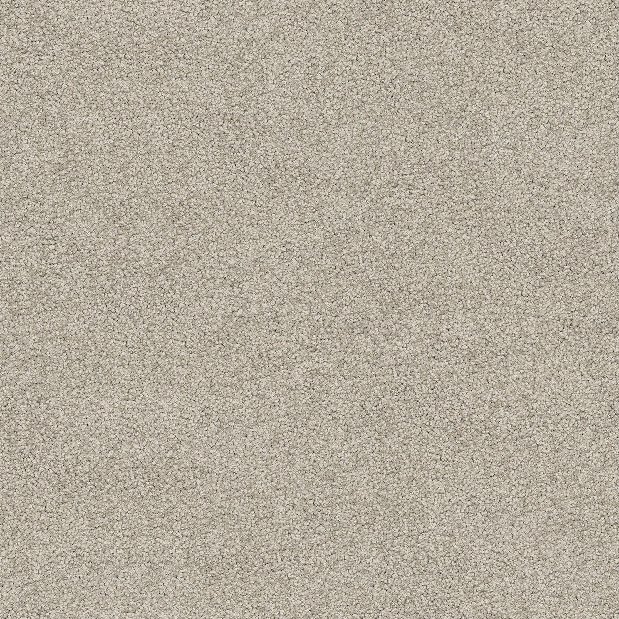 Mystic Charm II Canvas