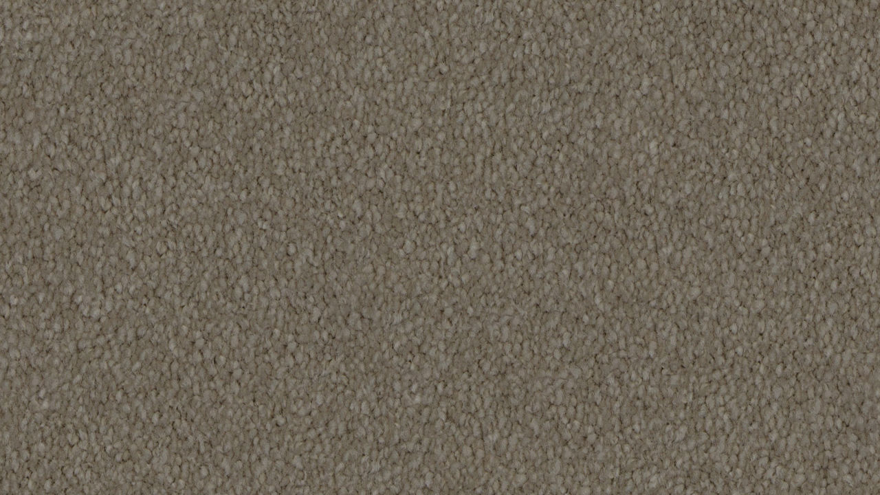 Modern Living Cinnamon