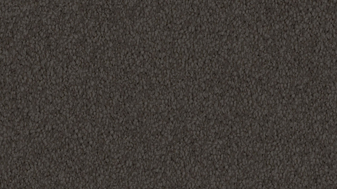 Modern Living Truffle