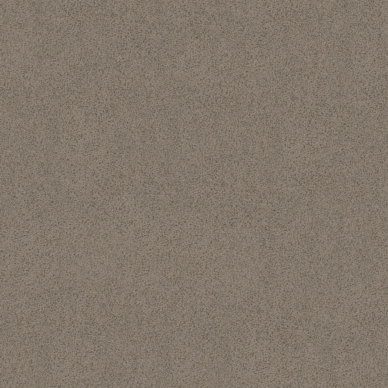 Latrobe Desert Breeze