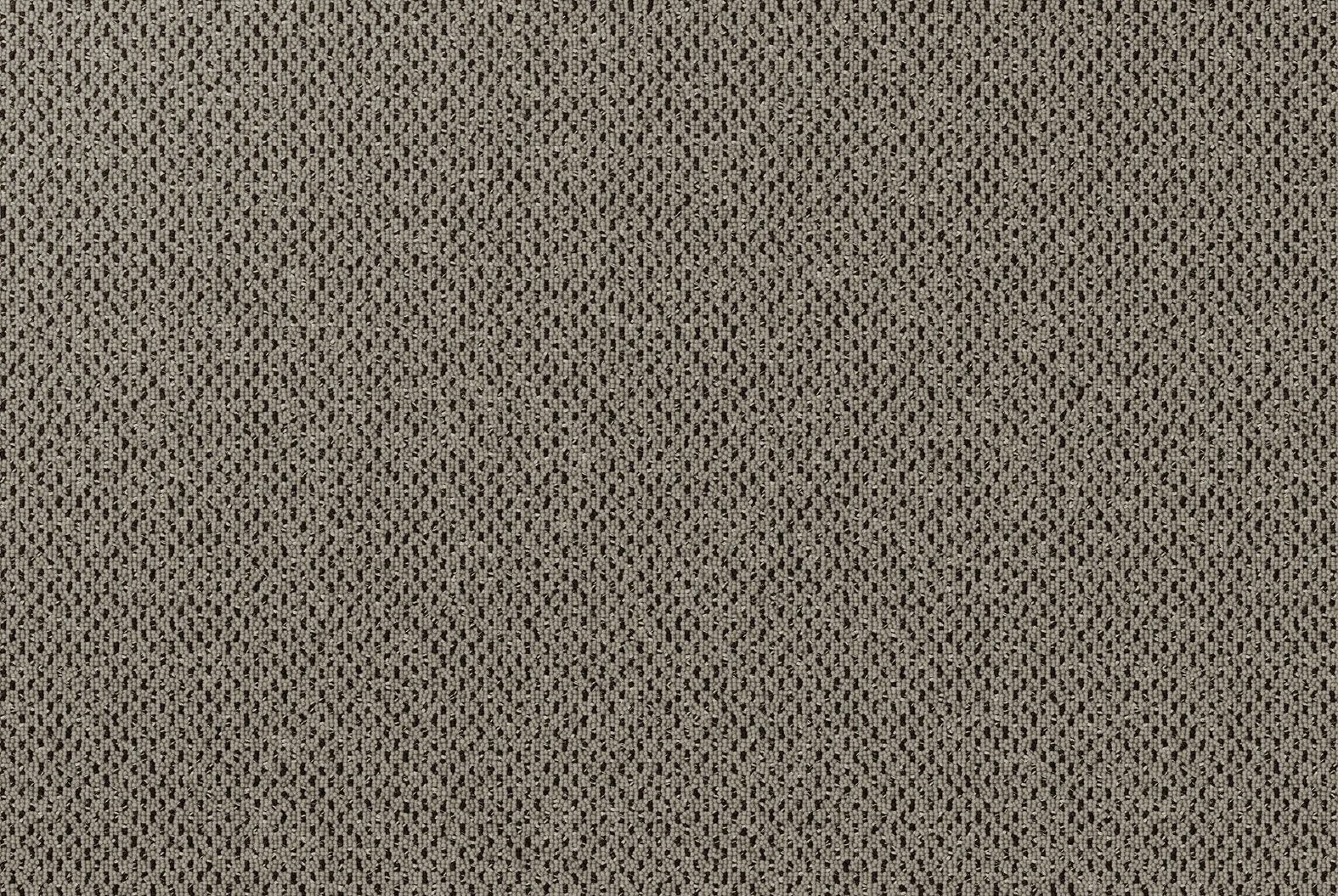 Knights Point II Scoria