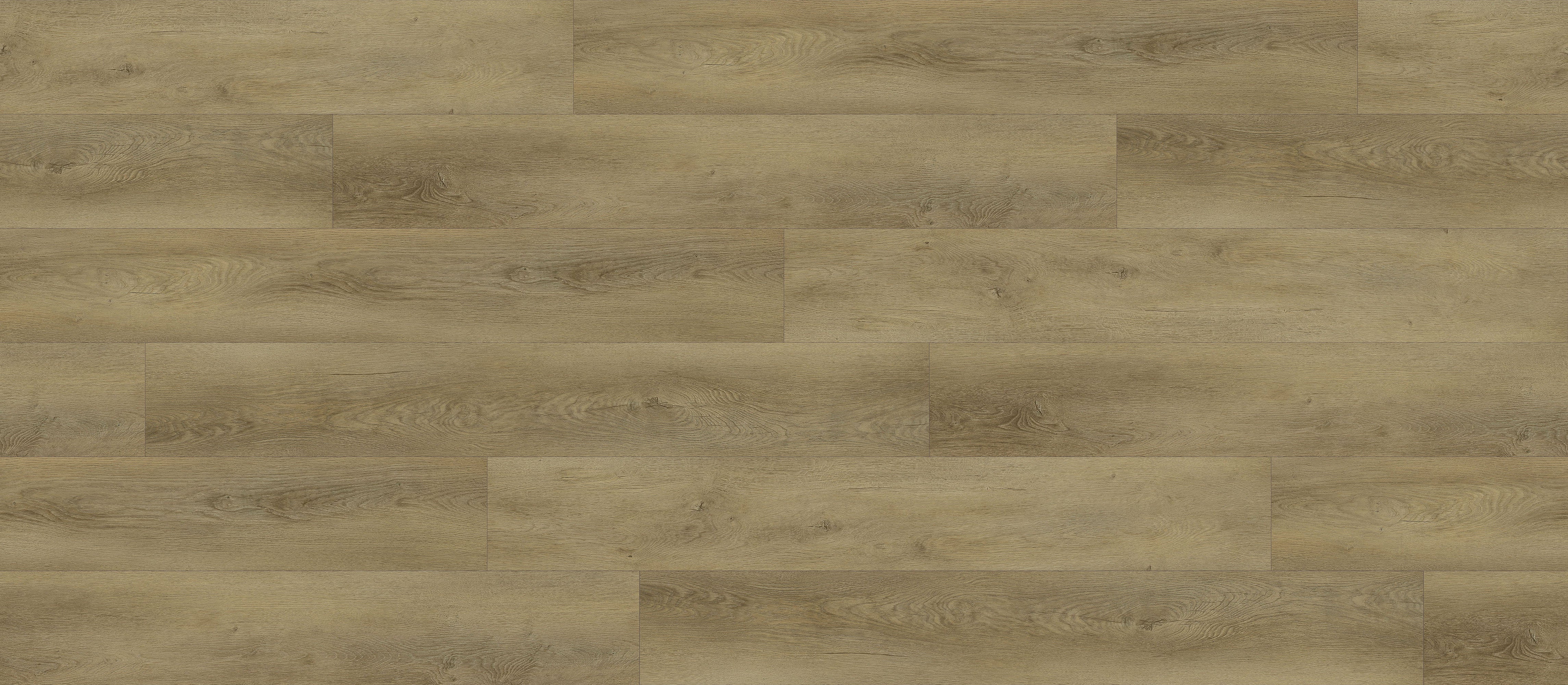 Tranquility Tranquility - Bristle Oak