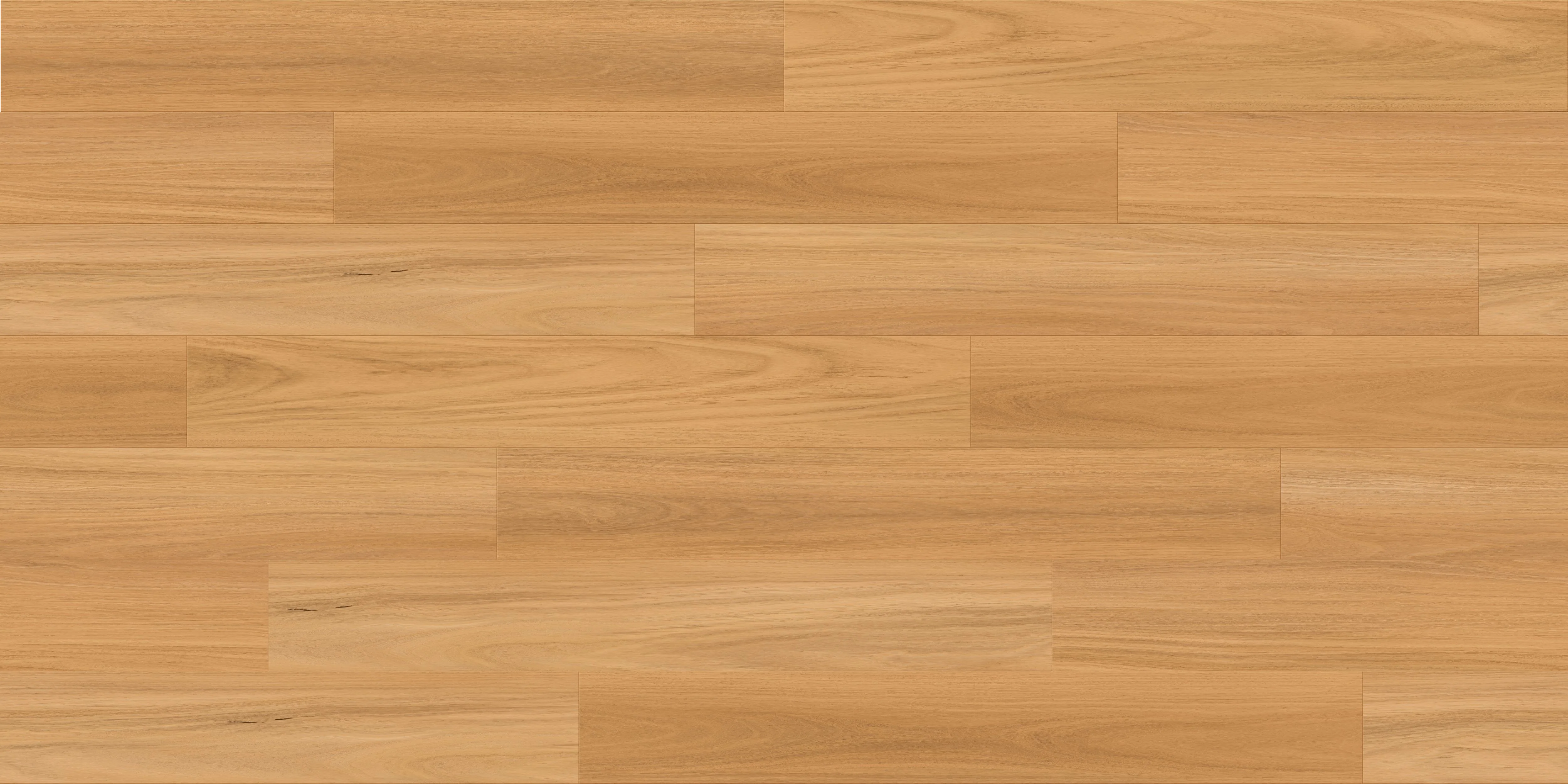 Kalara Kalara - Coastal Blackbutt LAM/016