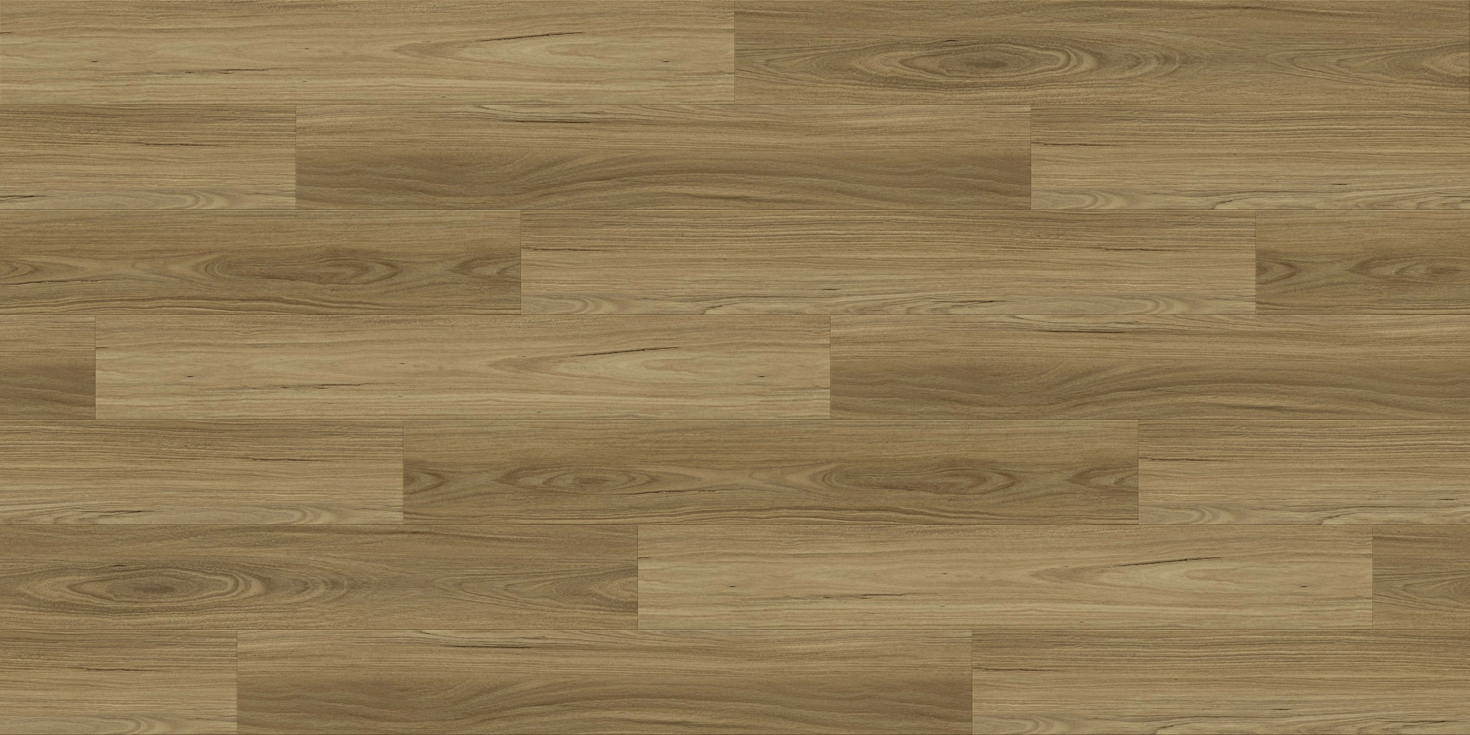 Kalara Kalara - Mountain Spotted Gum LAM/018