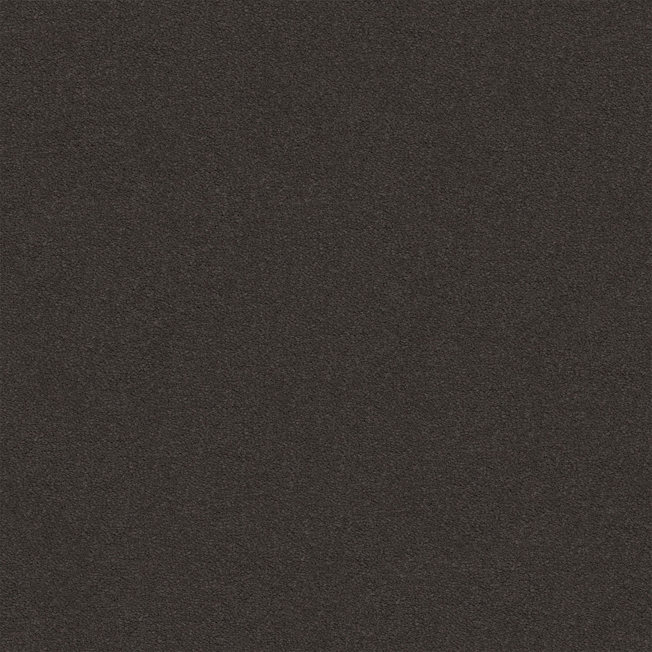 Elegant Reflections Dark Shadow