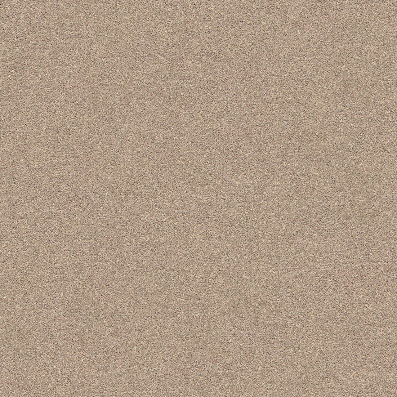 Elegant Reflections Warm Beige