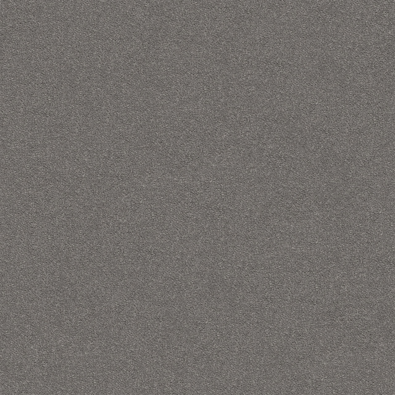 Elegant Reflections Cold Mountain