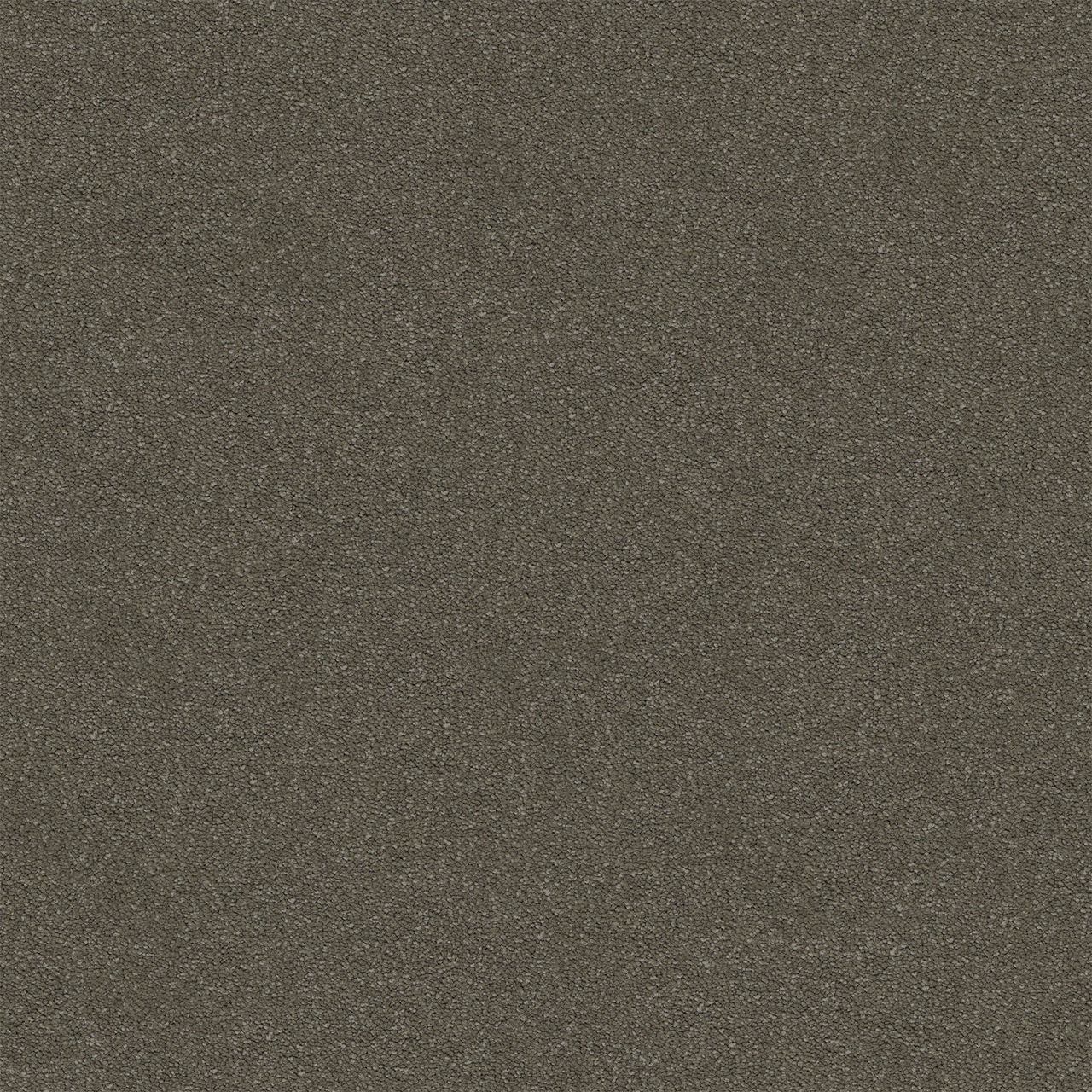 Elegant Reflections Cargo Stipple