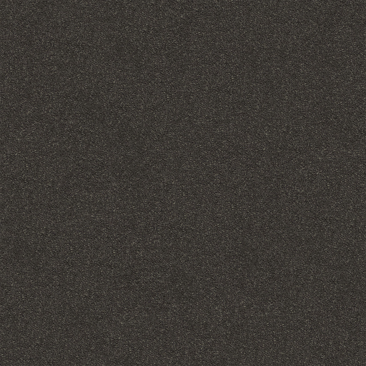 Elegant Reflections Shale Stipple