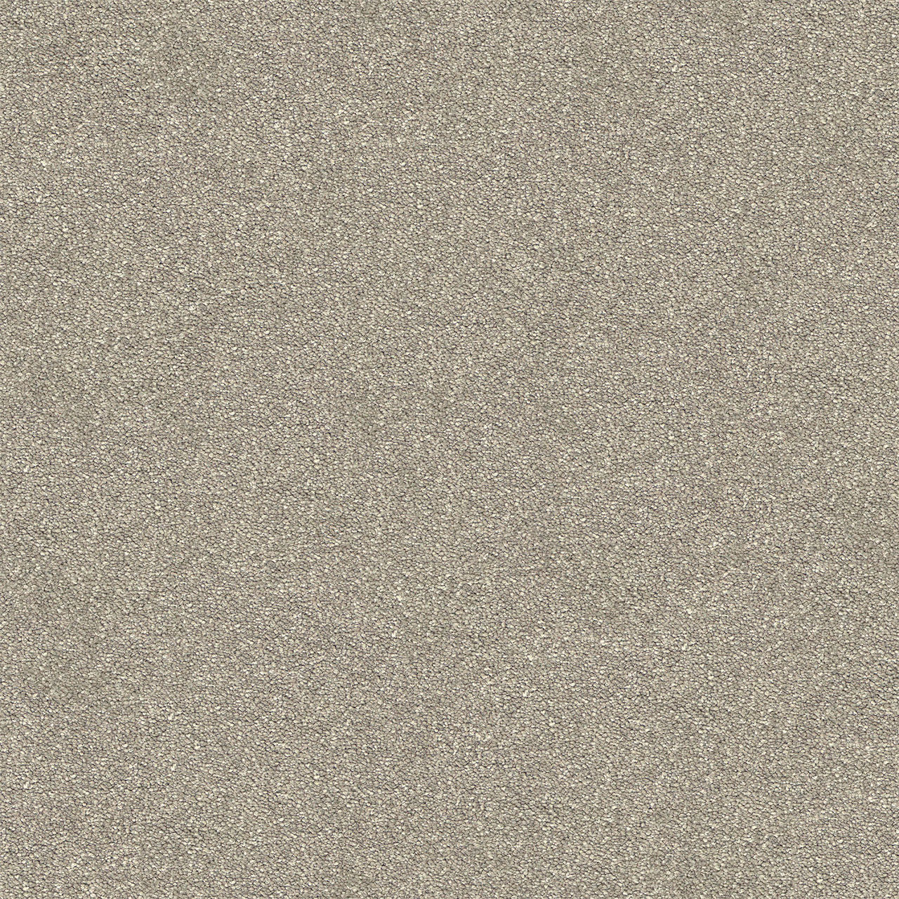 Elegant Reflections Ceramic