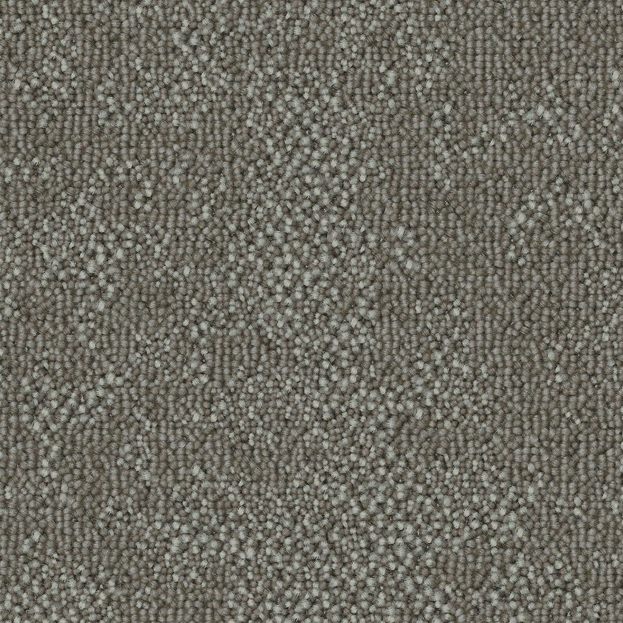 Curious Path Inquisitive