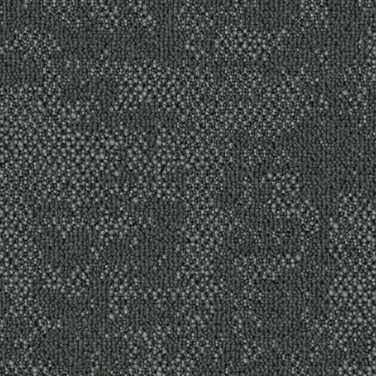 Curious Path Quizzical