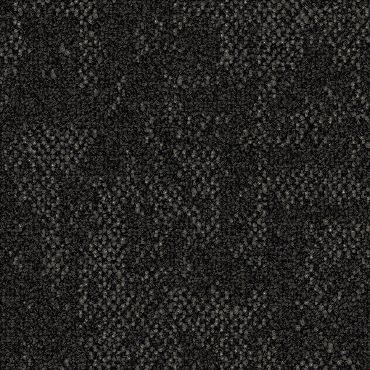 Curious Path Speculative