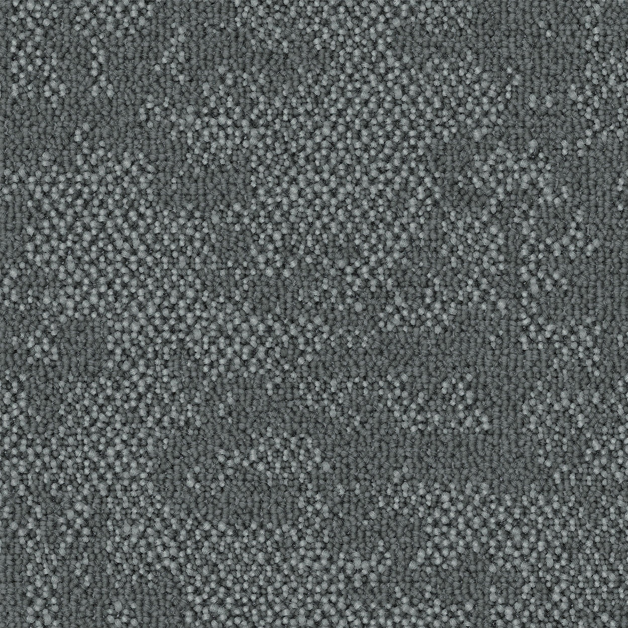 Curious Path Analytical