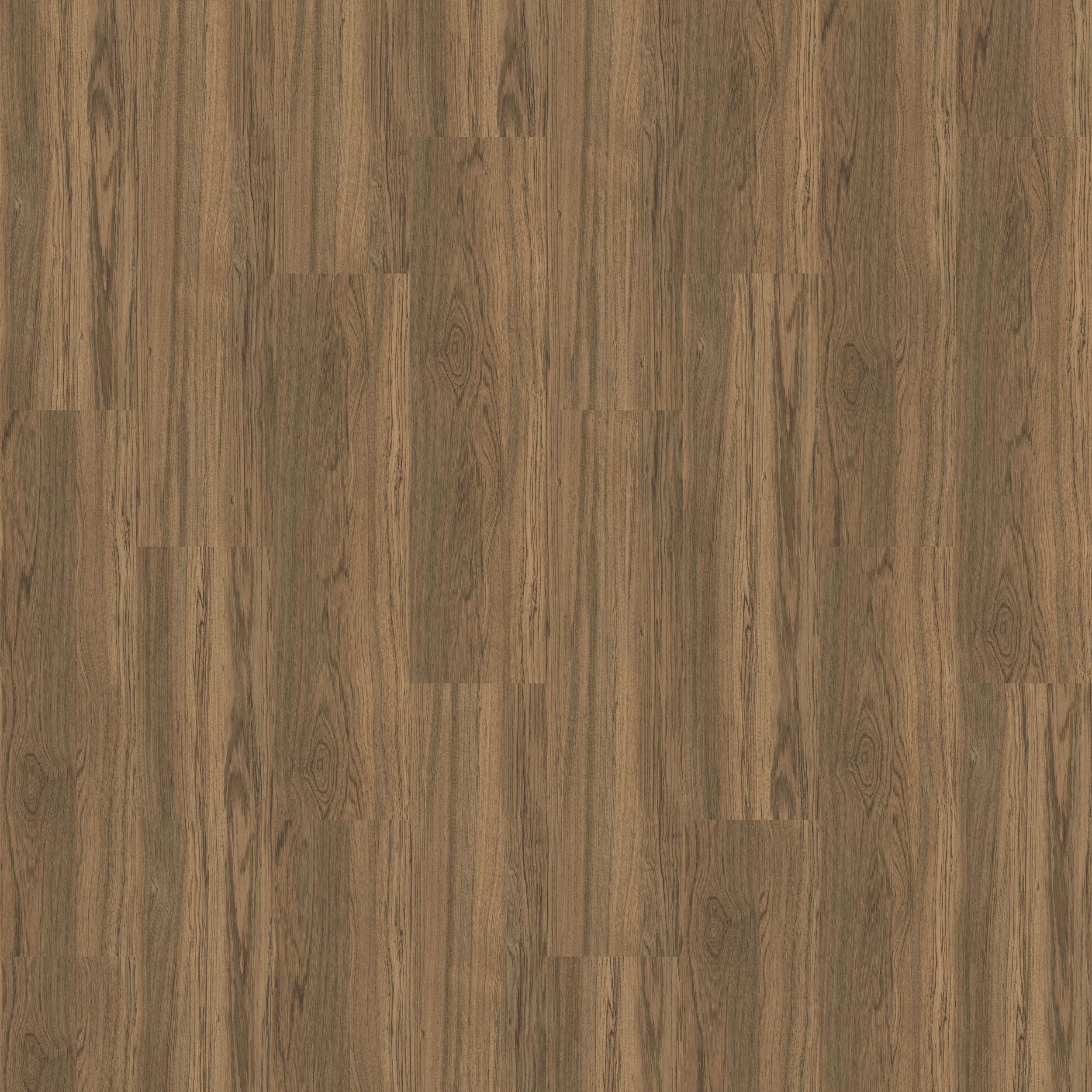 Natural Woodgrains Beech