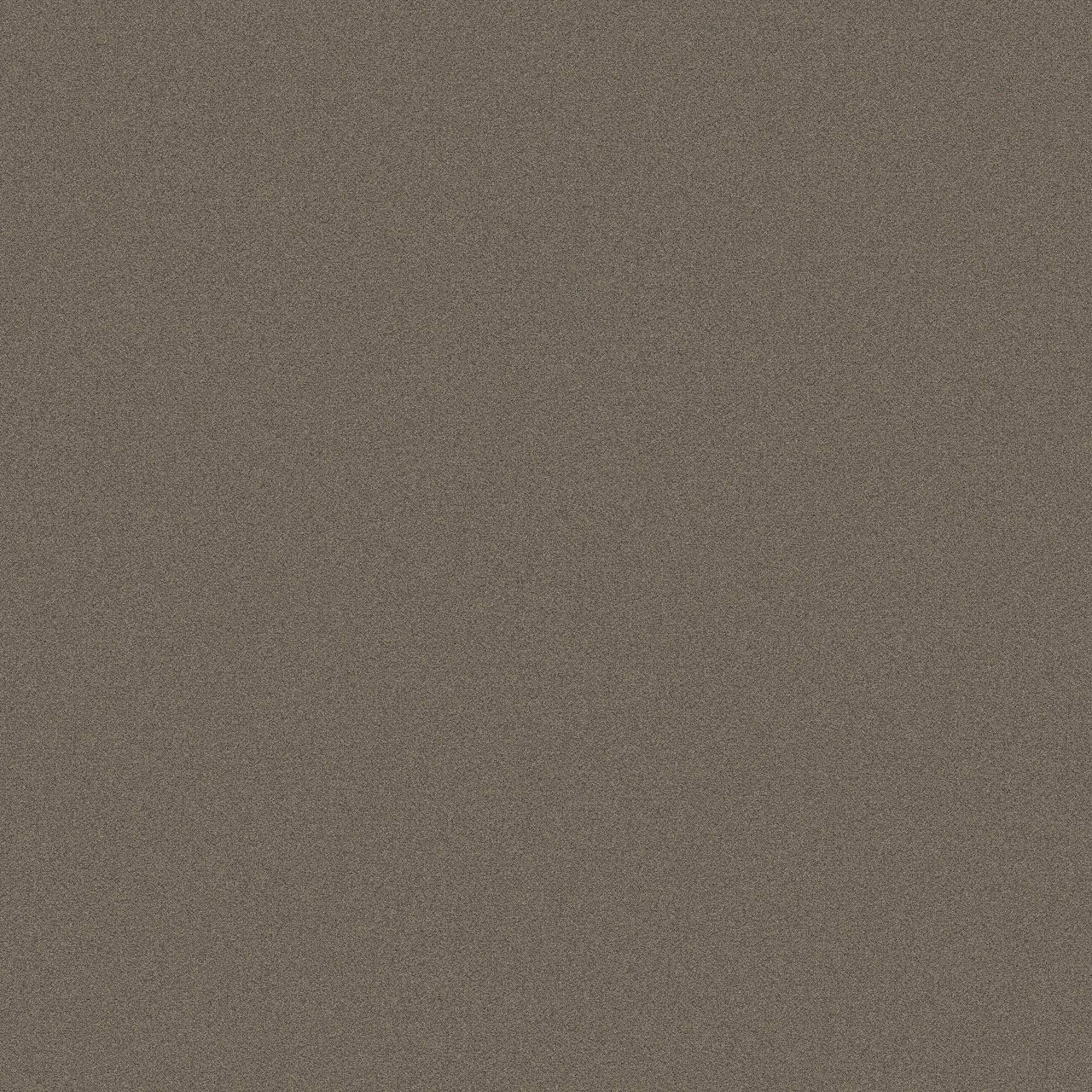 Creative Spark Subtle Sepia