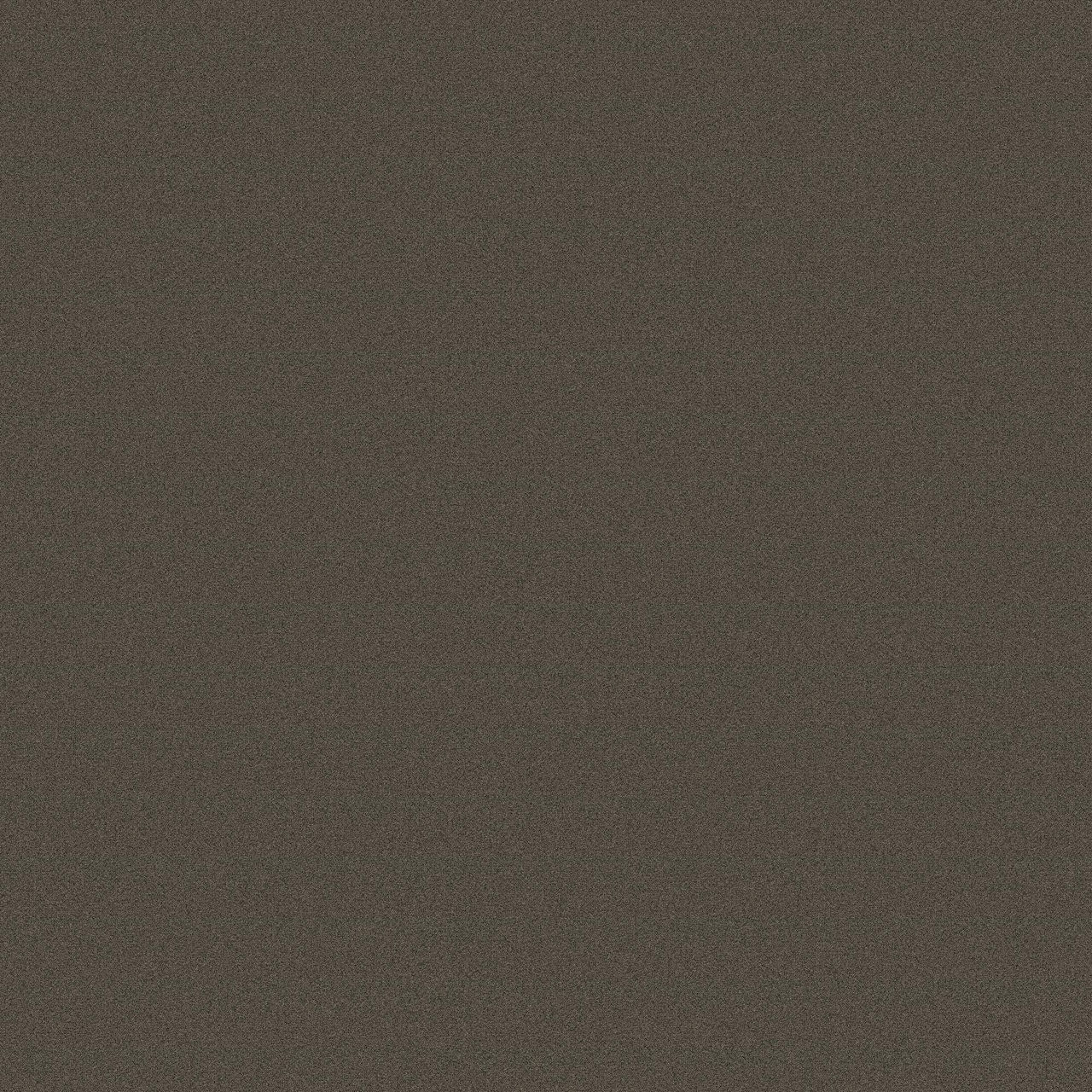 Creative Spark Cinnabark