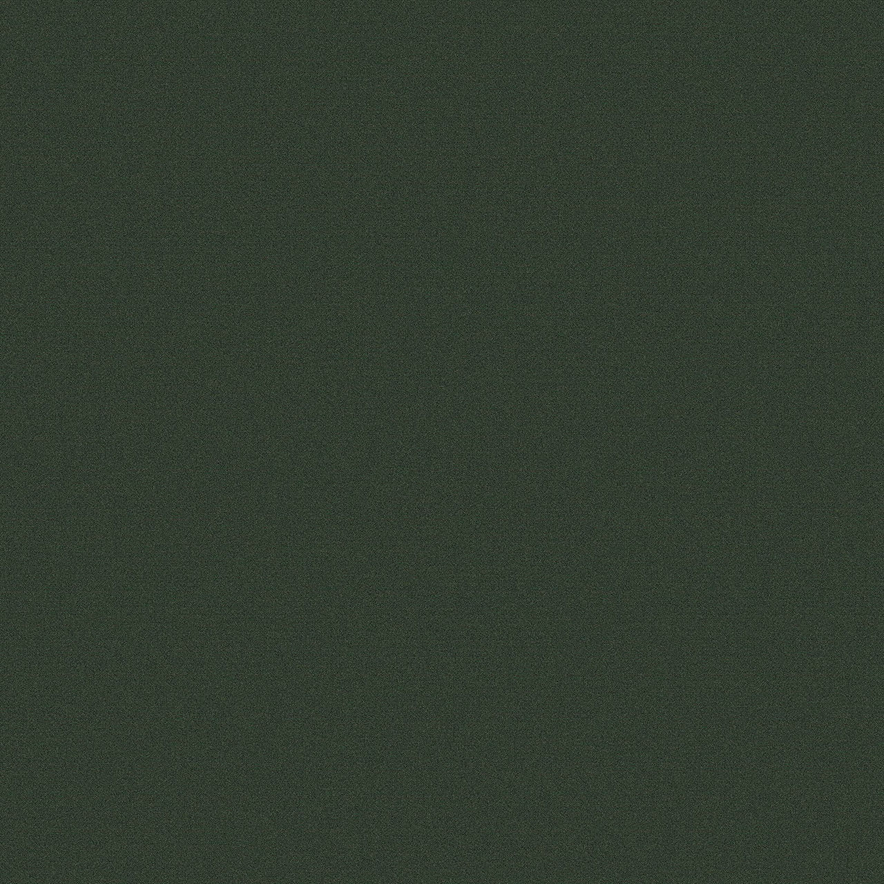 Creative Spark Playful Pine