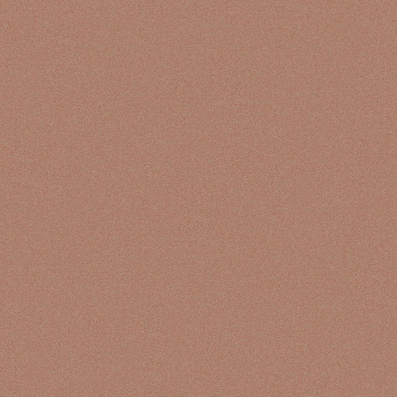 Creative Spark Pondering Petal