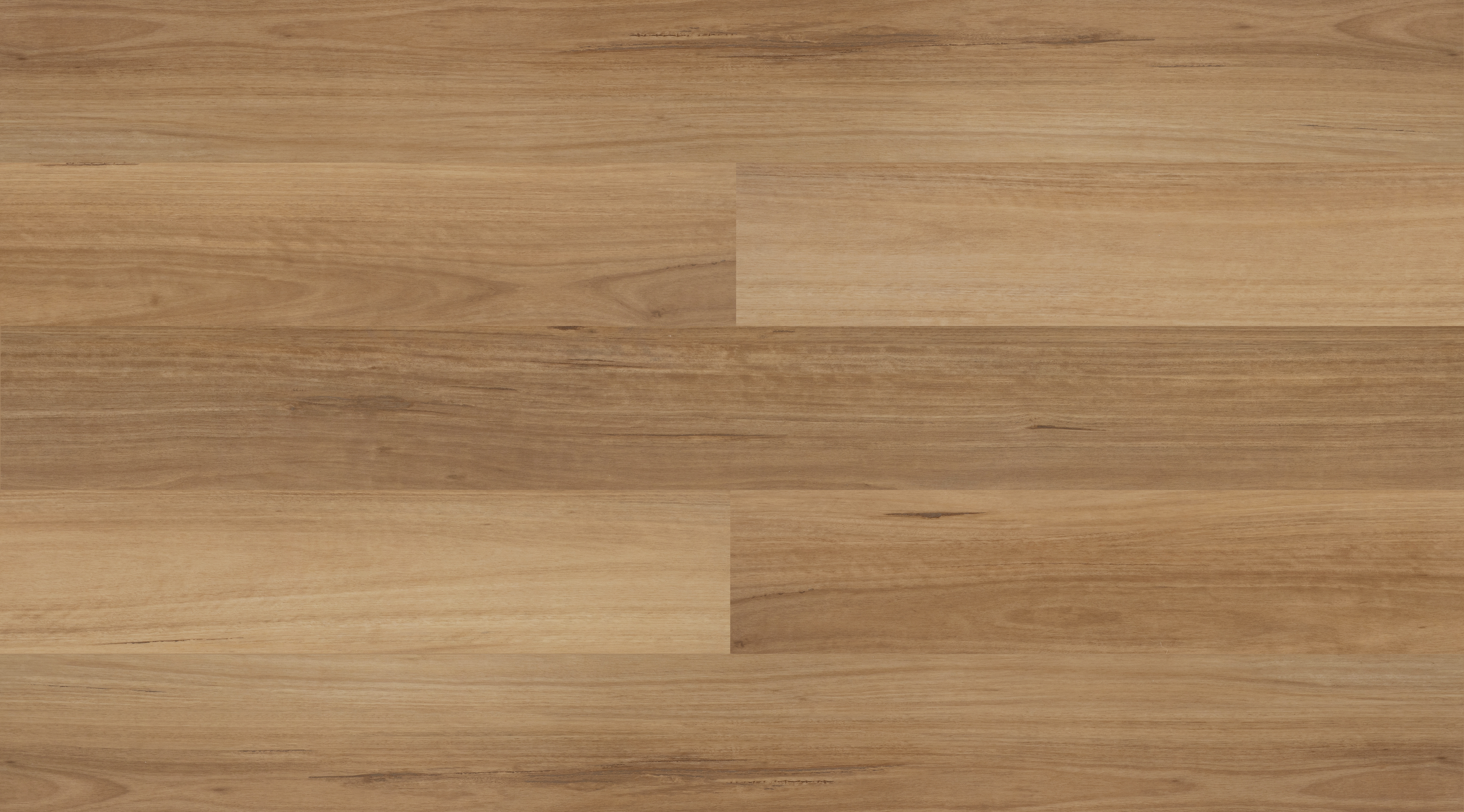 Wilderness Plus Blackbutt XL