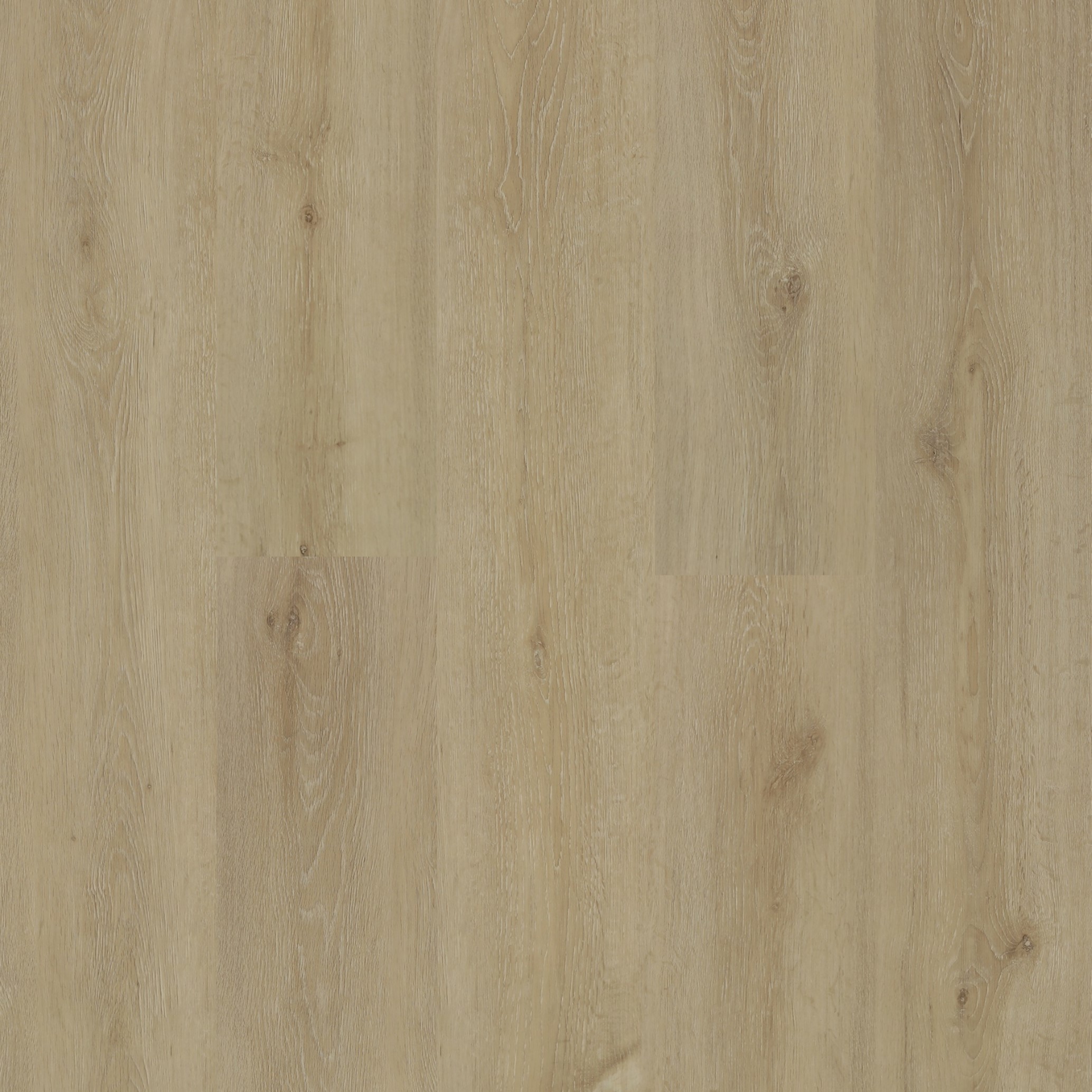 Wilderness Oceanfront Oak