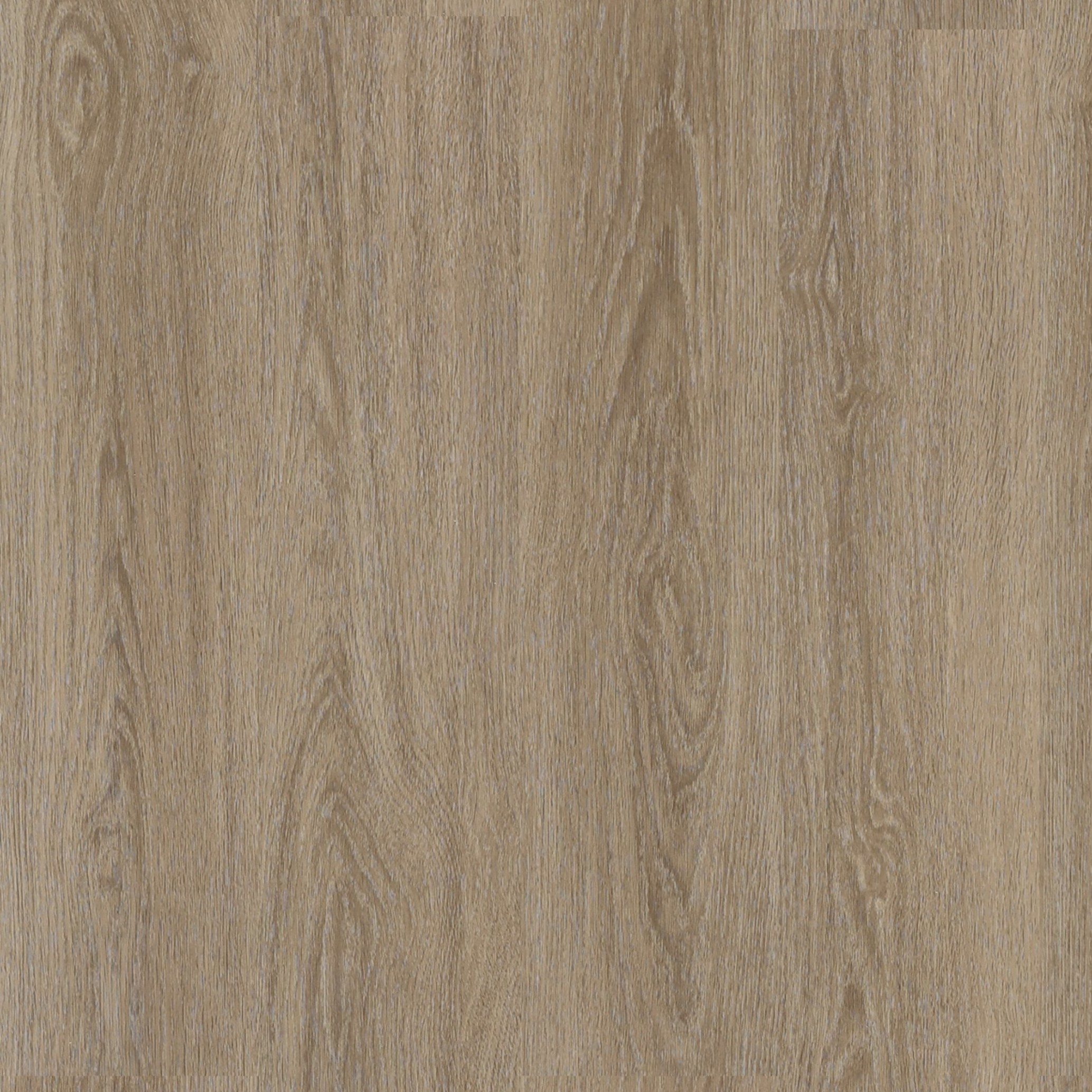 Yonnie Architectural Limestone